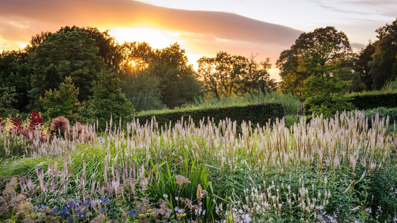 Main borders at RHS Harlow Carr