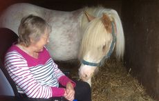 Margaret-and-Rafiki-IMG_0475.jpg