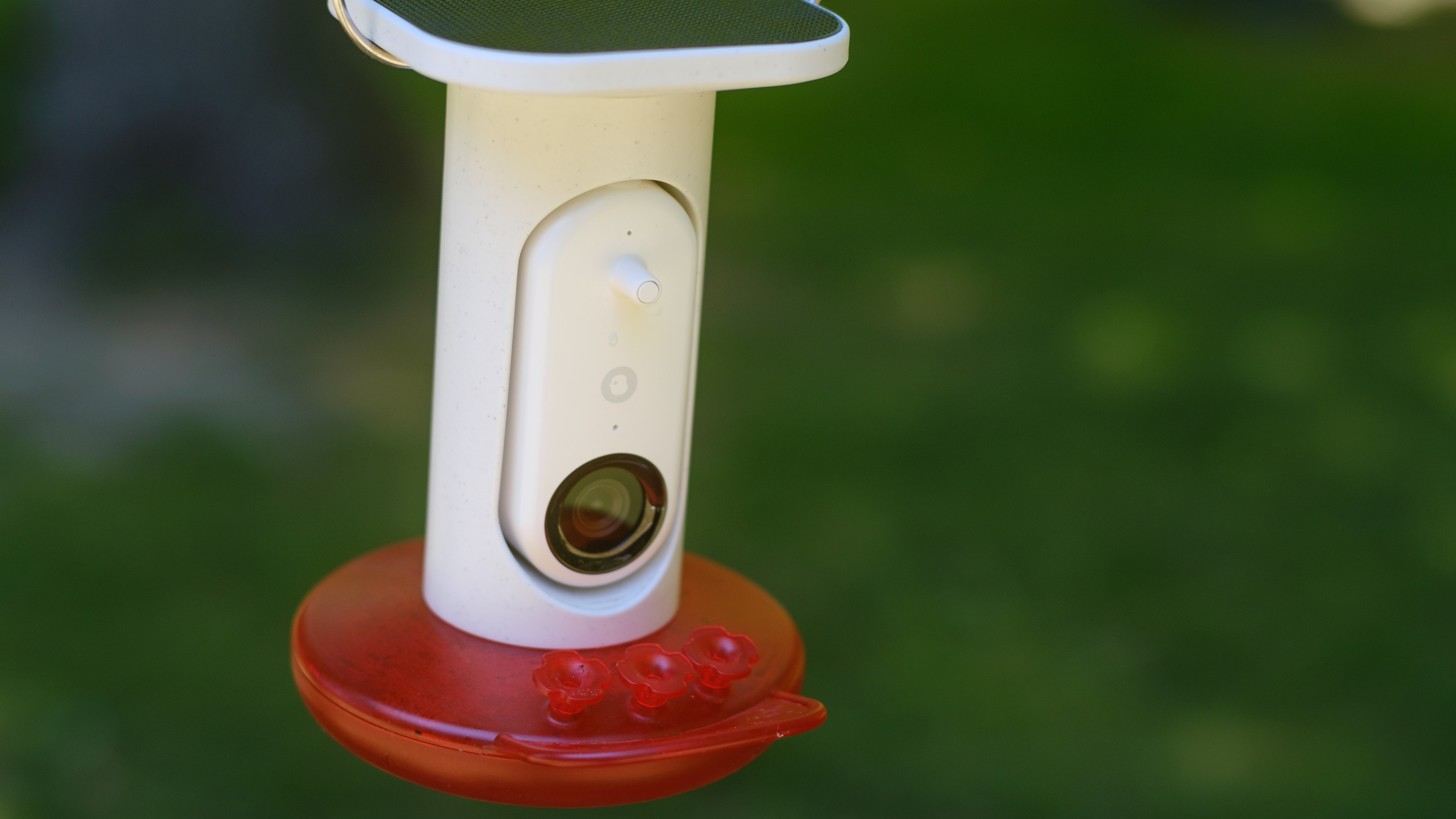 The Bird Buddy Smart Humming Bird Feeder photographed outdoors