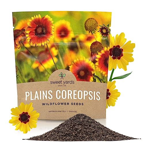 Plains Coreopsis Seeds &amp;ndash; Native Flowers &amp;ndash; Extra Large Packet &amp;ndash; Over 100,000 Open Pollinated Non-Gmo Wildflower Seeds &amp;ndash; Coreopsis Tinctorial