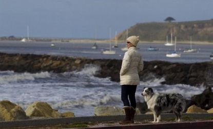 A San Francisco woman watches as waves hit the Pacific coast Friday: California didn't incur major damages from Japan's earthquake and tsunami... yet.
