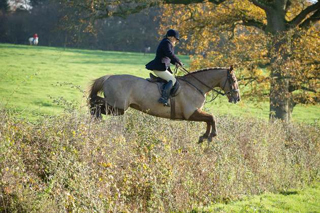 Avon Vale Hunt 29 11 2014
