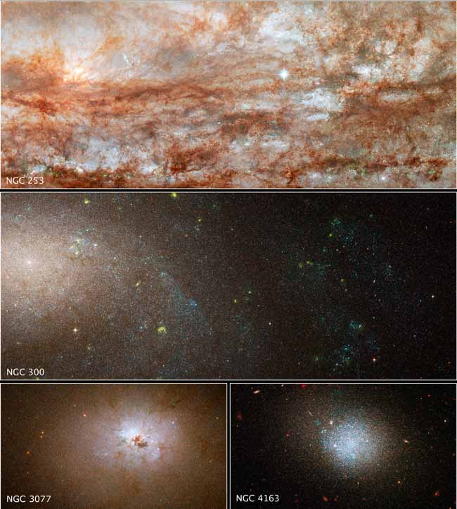 Galaxy Diversity Reveals Clues to Cosmic Evolution 