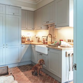 Utility boot room with duck egg blue cabinetry, Belfast sink and dog sitting on herringbone brick flooring