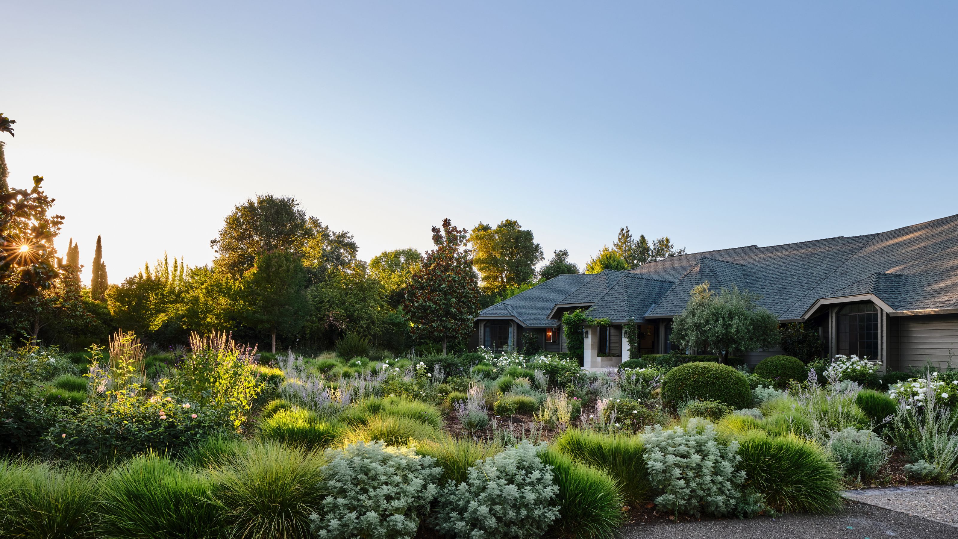a large Californian cottage with a landscaped garden surrounded by trees