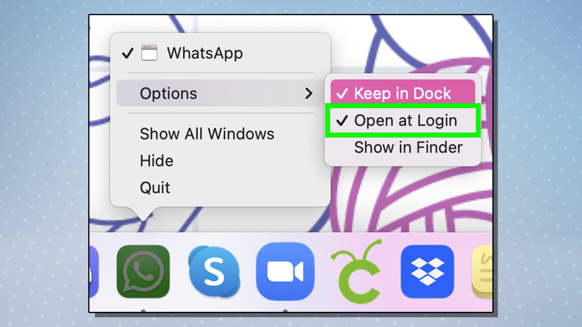 A screen from macOS showing the Open at Login option