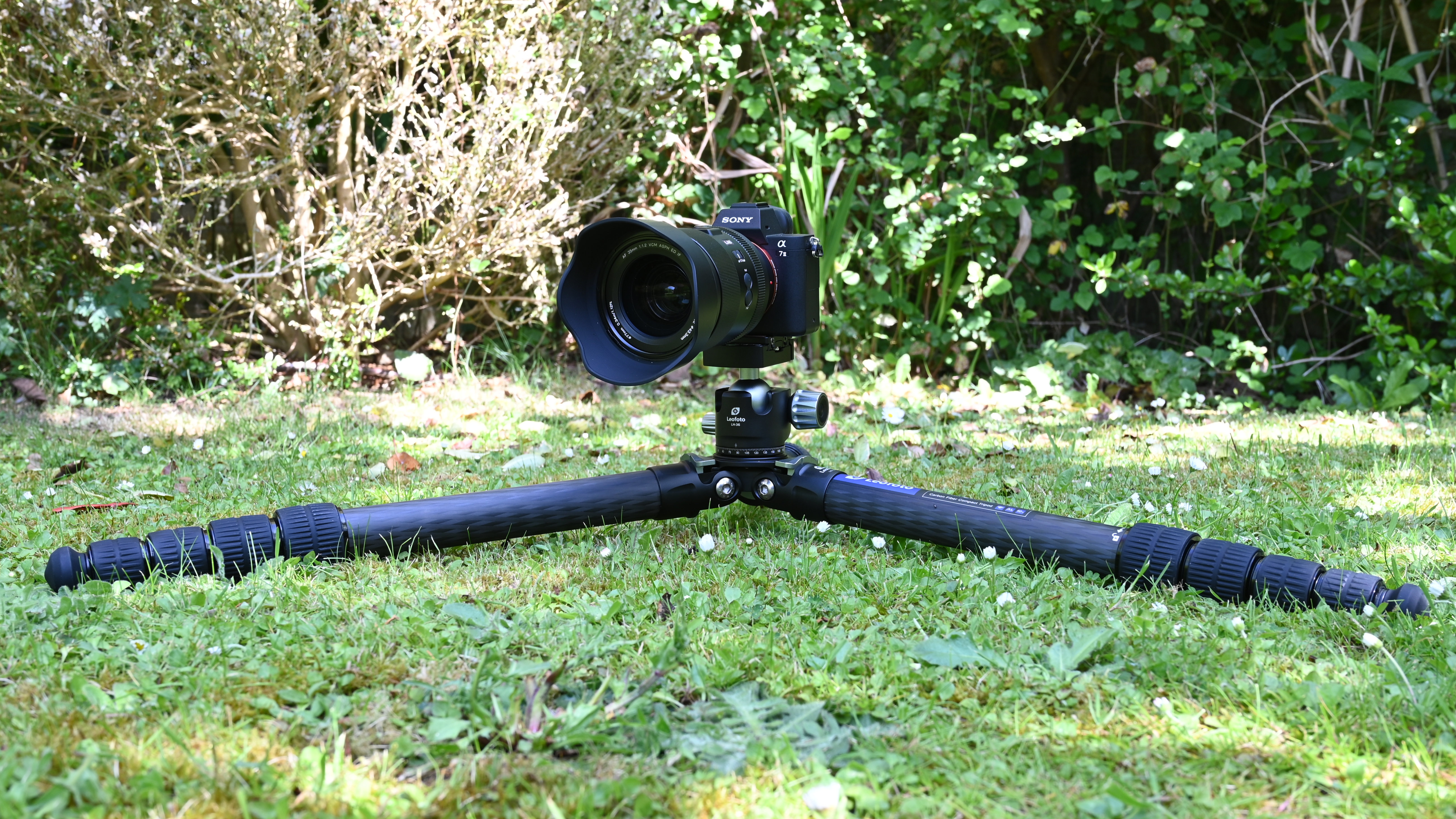 Leofoto Ranger LS-365C carbon fiber tripod