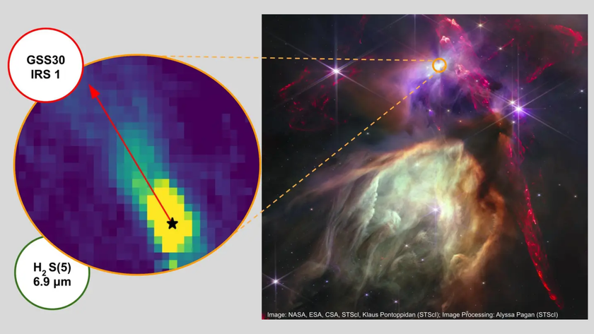 Star formation within the Ophiuchus Molecular clouds with one of the infant stars studied by the JWST indicated