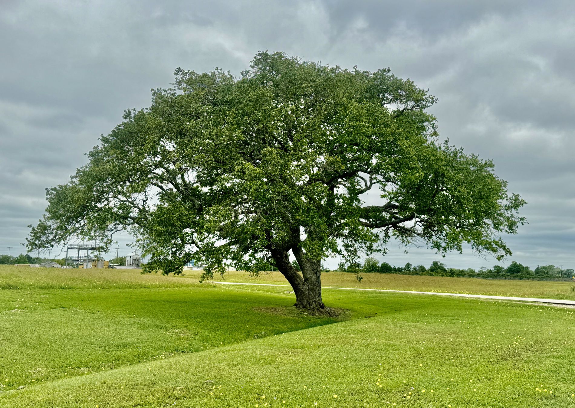 GuruShots - Nature March 2026