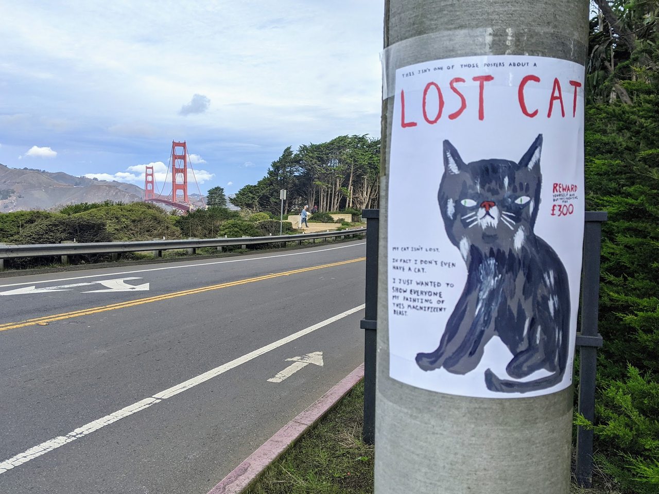 The cat posters