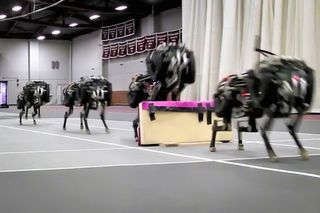 MIT's cheetah robot clears a hurdle.