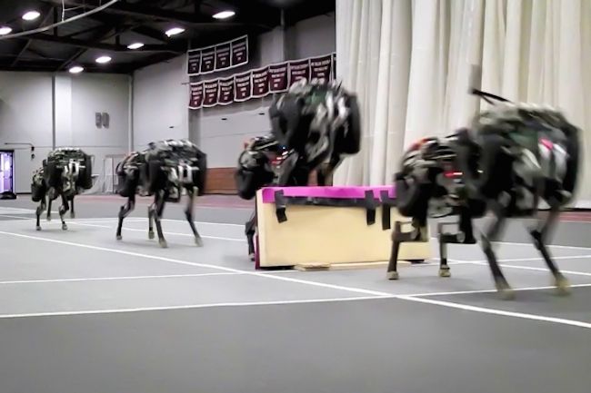 MIT&#039;s cheetah robot clears a hurdle.