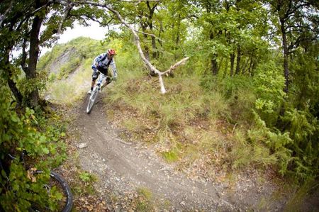Fabien Barel in the Trans-Provence