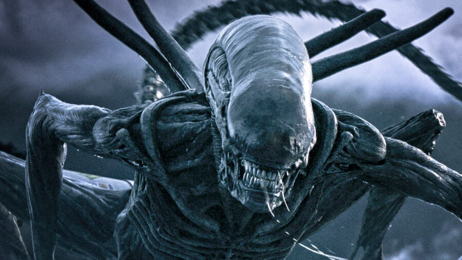 We're getting a new Alien movie - and the lead has been found