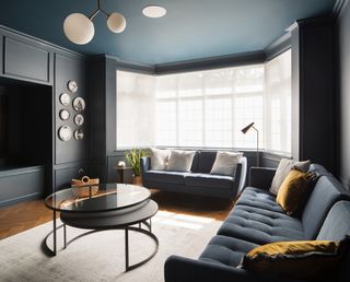 dark living room with blue ceiling, dark walls, bay window, media area, plates on wall, two couches, rug