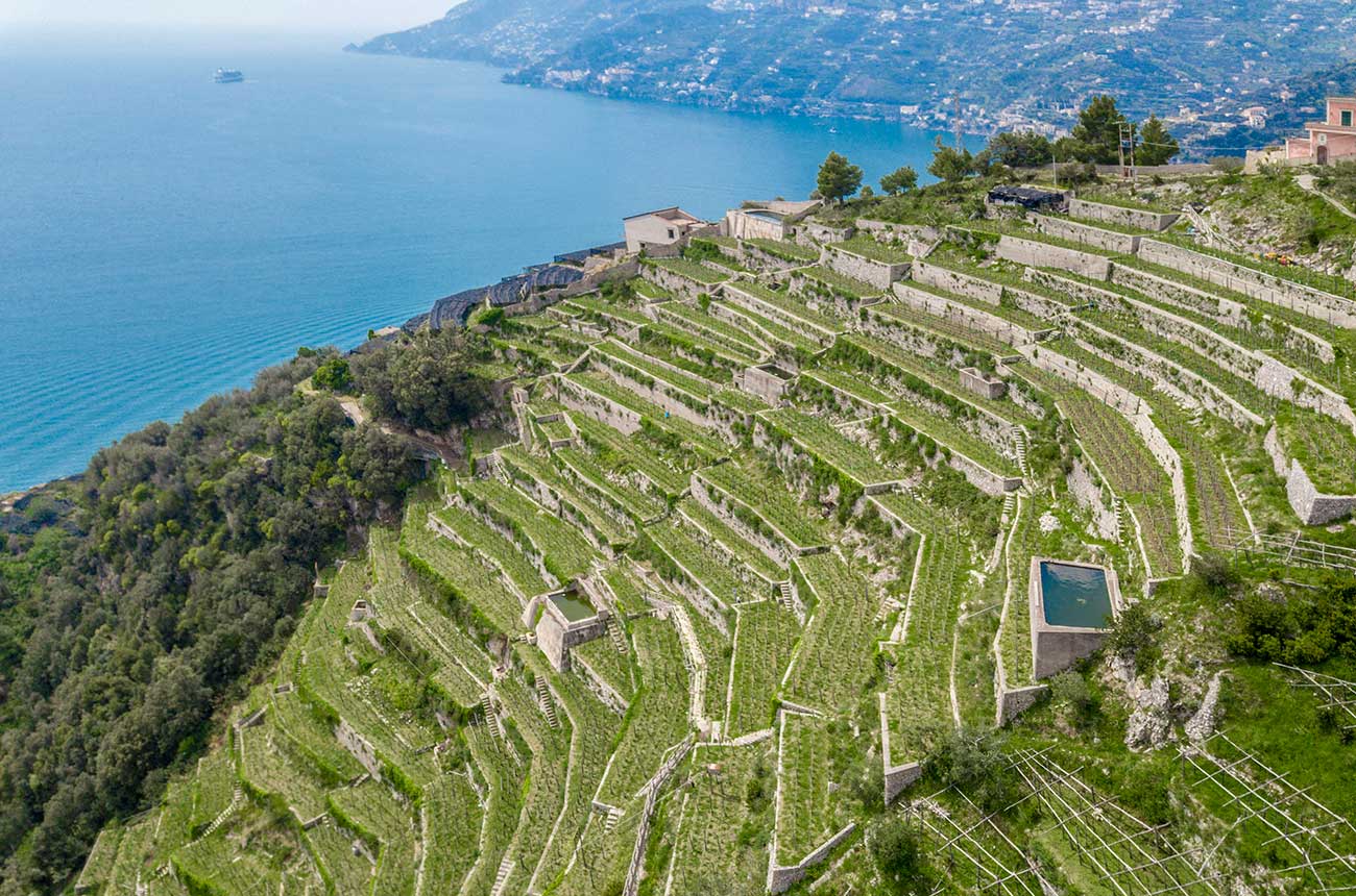 Amalfi coast vineyard, Christie's