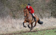 Hurworth_Hunting15pn_2691.jpg