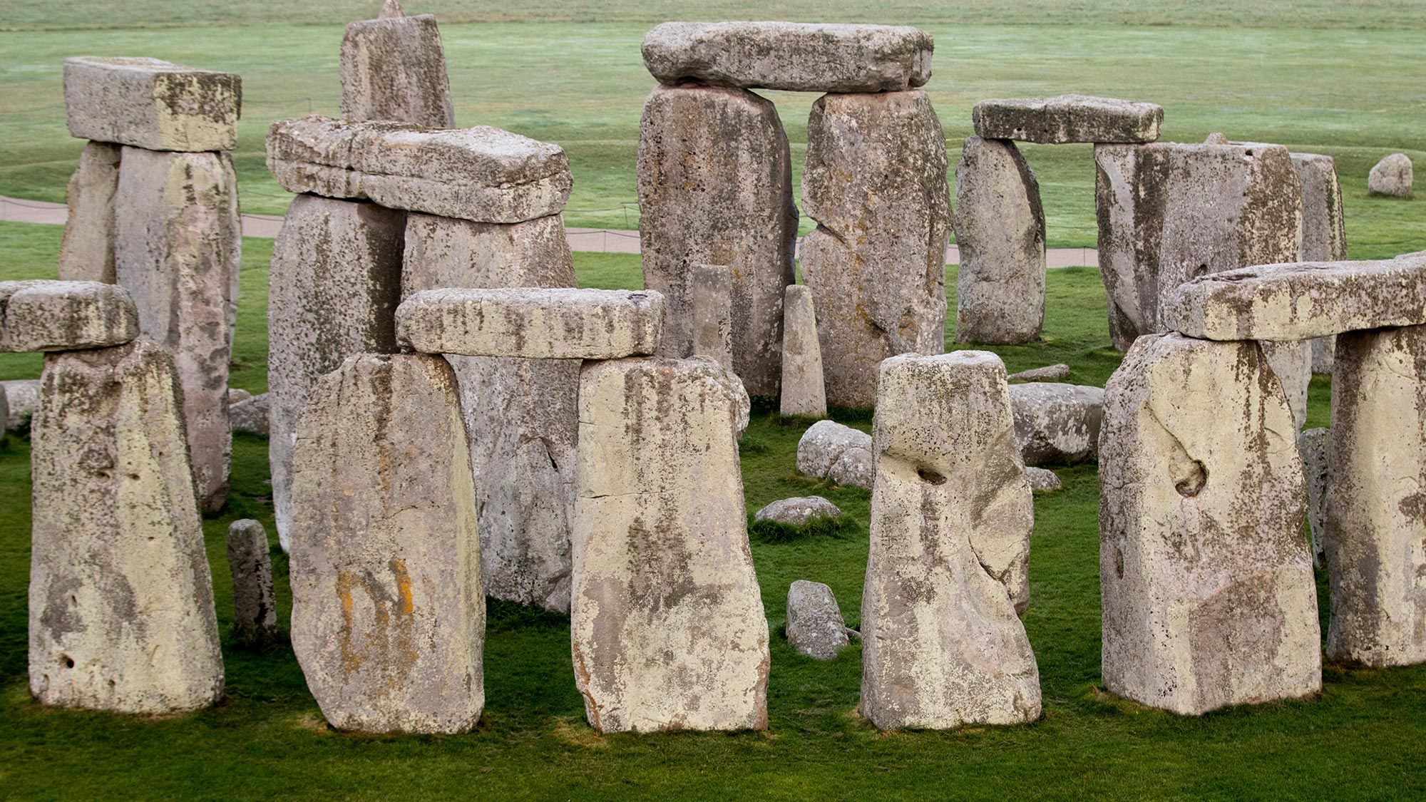 Stone Openedge Stonehenge: a transformative discovery | The Week