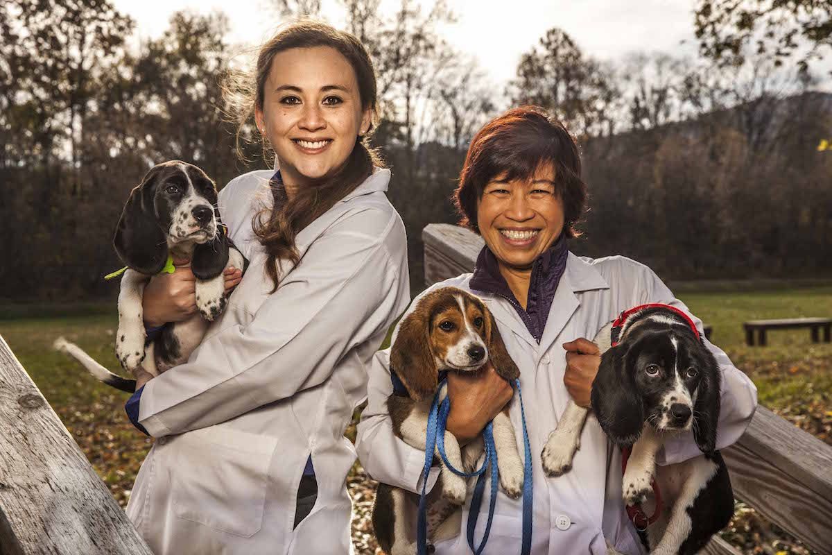 IVF Puppies