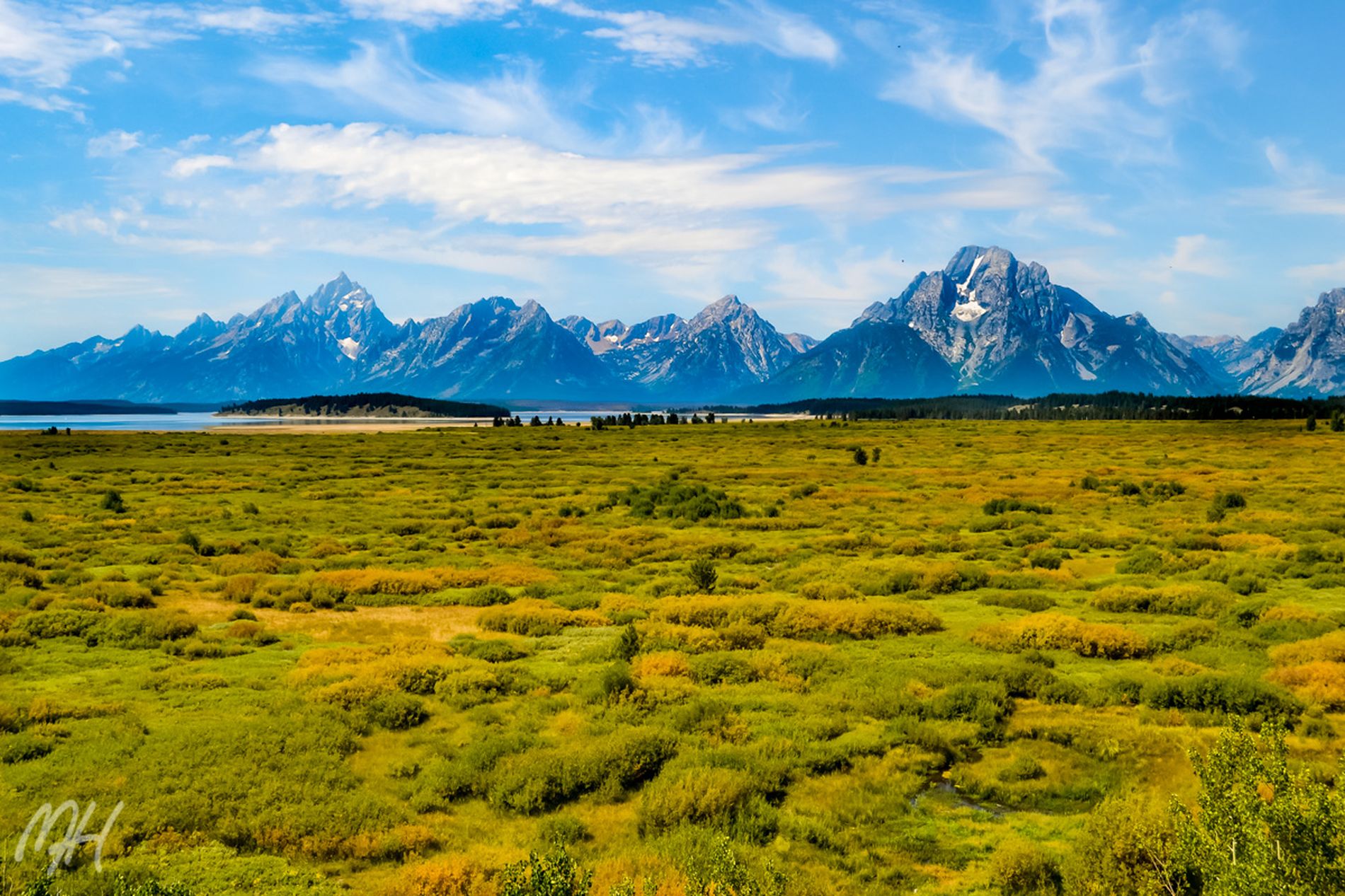 GuruShots March 2026