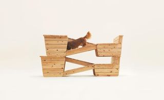 Stacked wooden playhouse for dog - two towers joined by four criss-cross diagonal ladders.