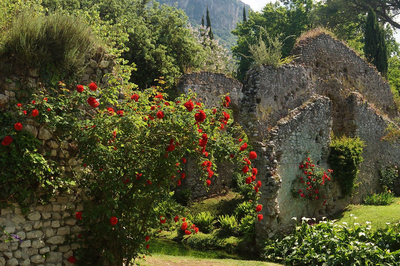 The gardens at Ninfa.