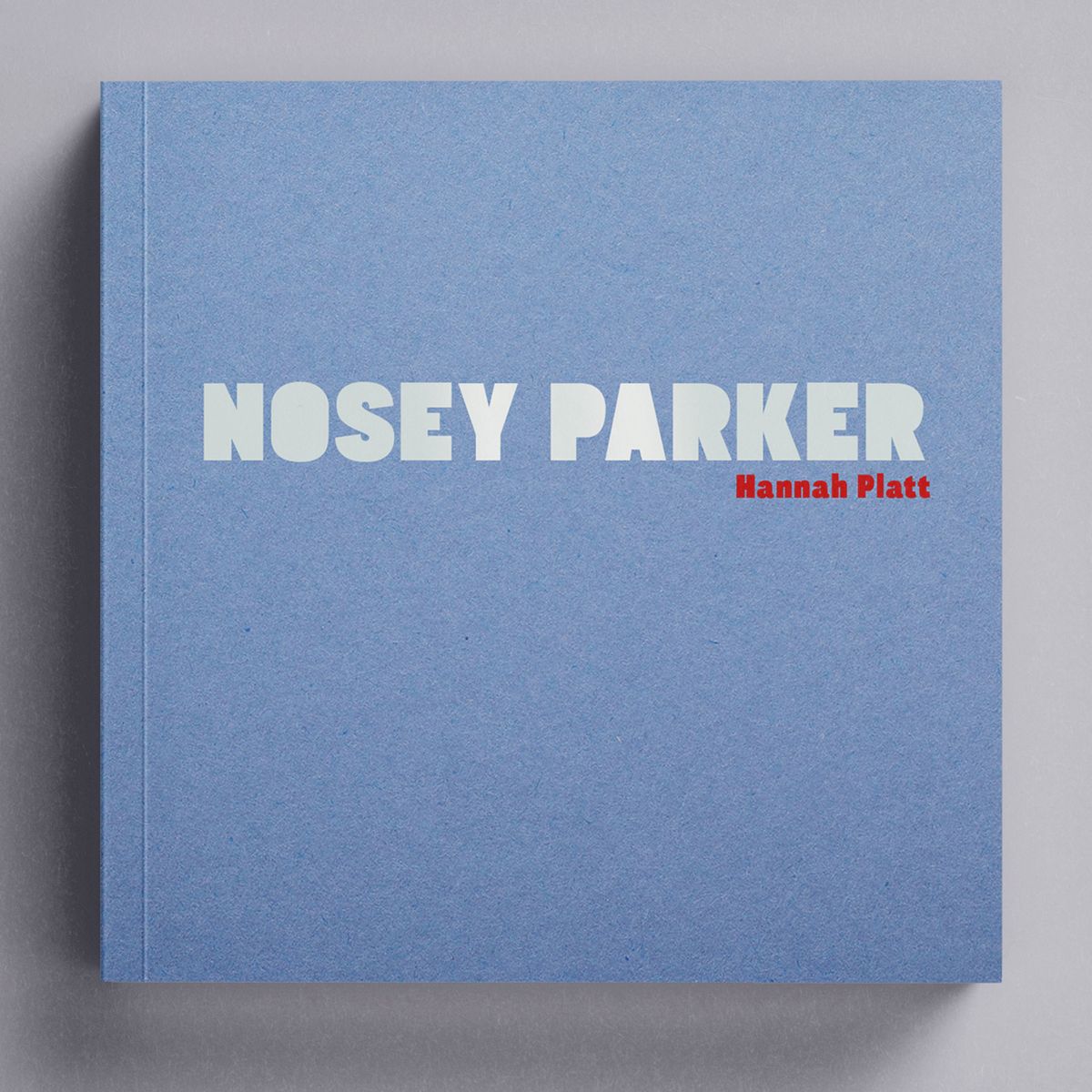 nosey-parker-is-a-charming-heartfelt-photographic-ode-to-northern