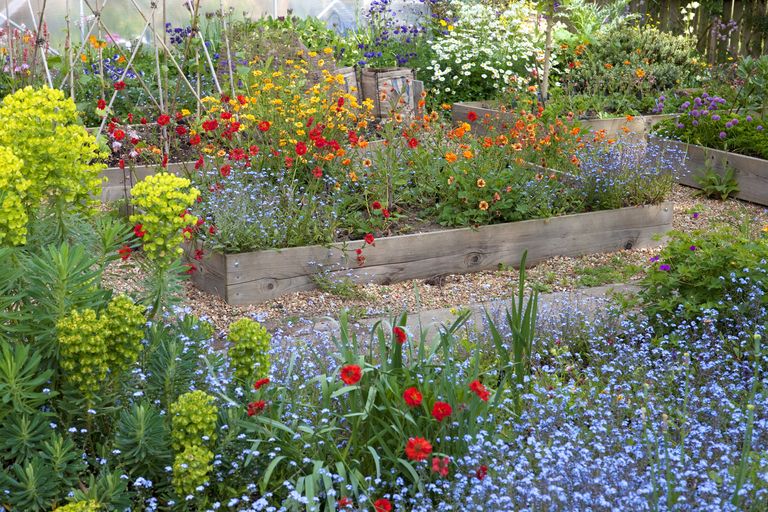 Cottage Garden Ideas: 32 Inspiring Spaces And Layouts