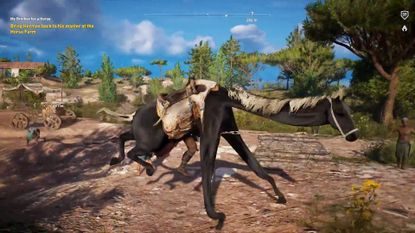 replay animals