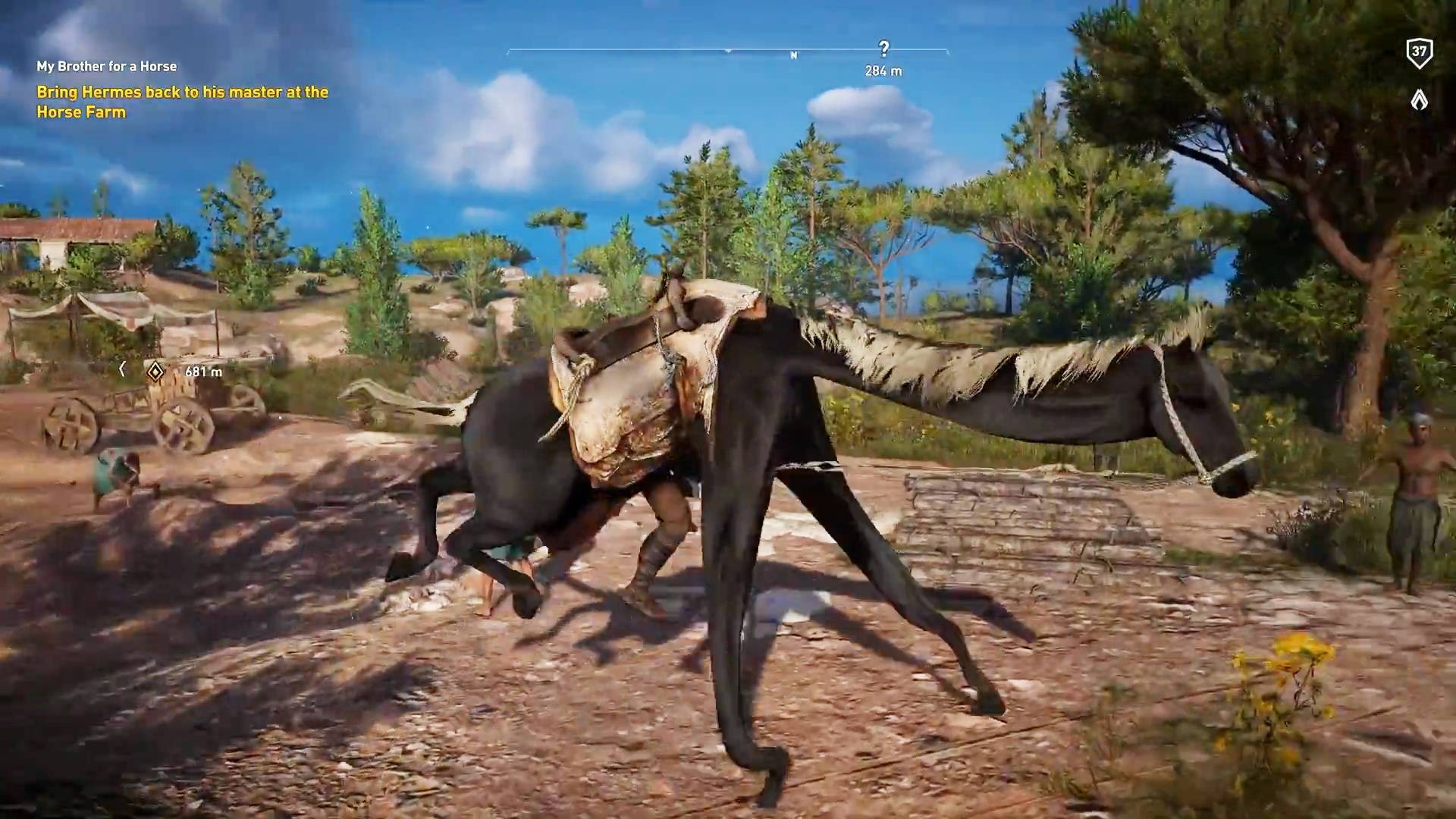 replay animals