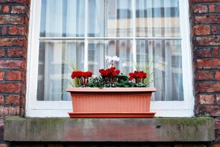 a box of flowers matching the exterior of a home