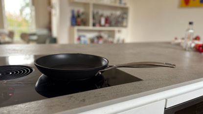 Testing the Le Creuset Frying Pan