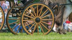 carriage.jpg