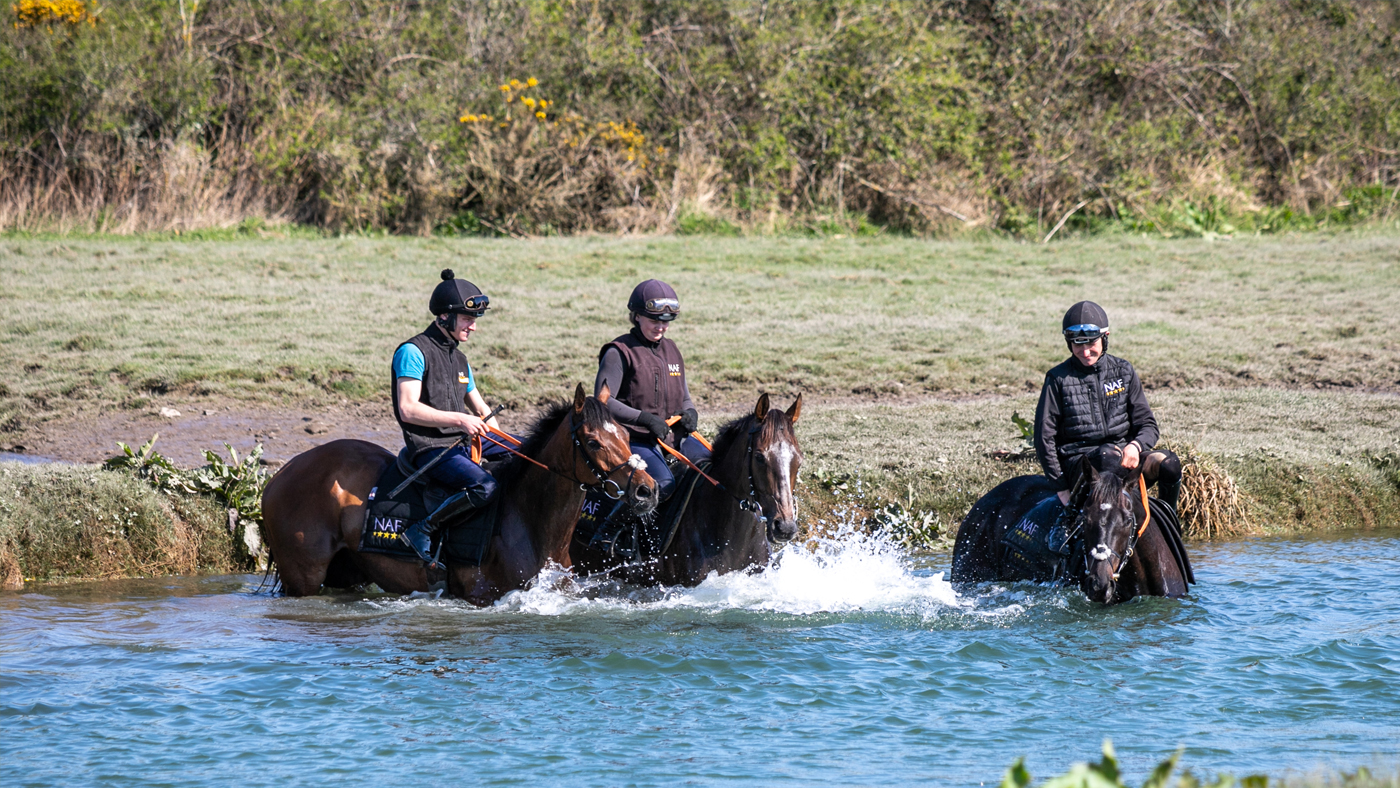 NAF-_-May-4-_3-horses-In-water