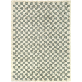 sage checkerboard rug