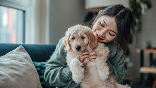 woman cuddling labradoodle puppy