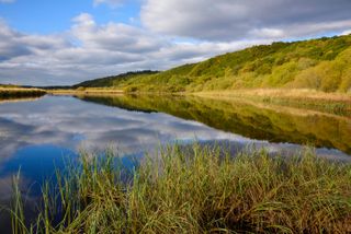 The River Cree in Dumfries & Galloway