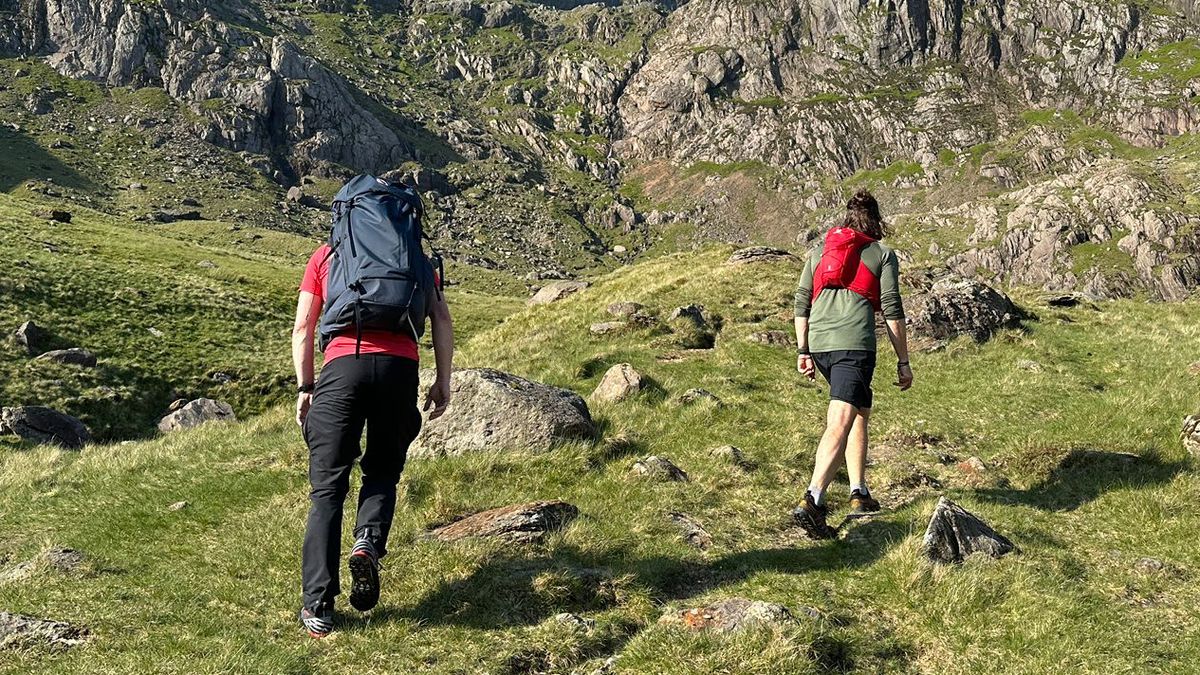 hiking shorts or pants: pants and shorts