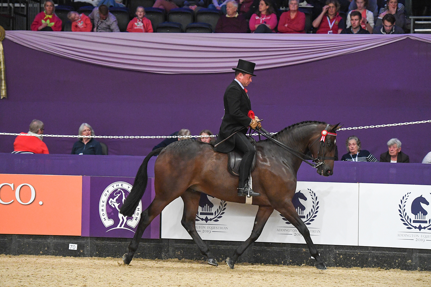 HOYS 03 10 19