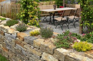 small rock garden ideas: herb garden on stone wall