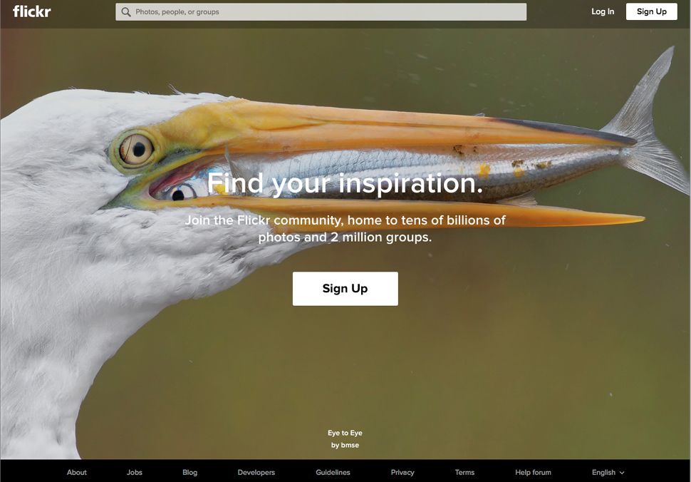 The home page of image gallery site Flickr