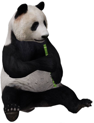 Giant Panda Google Search 3D model