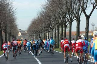 The trees of Lombardy form a beautiful backdrop for a beautiful race.