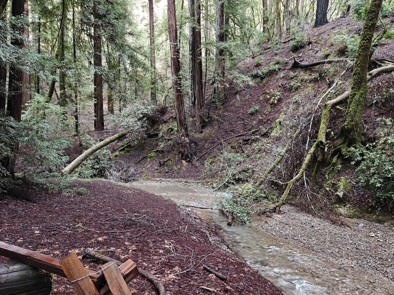 Creek shot by OnePlus 13R