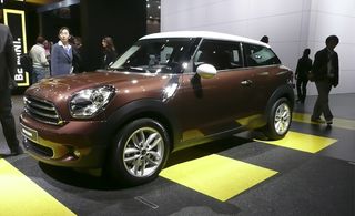 Brown and white Mini Paceman