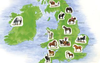 Native horse breeds of Britain