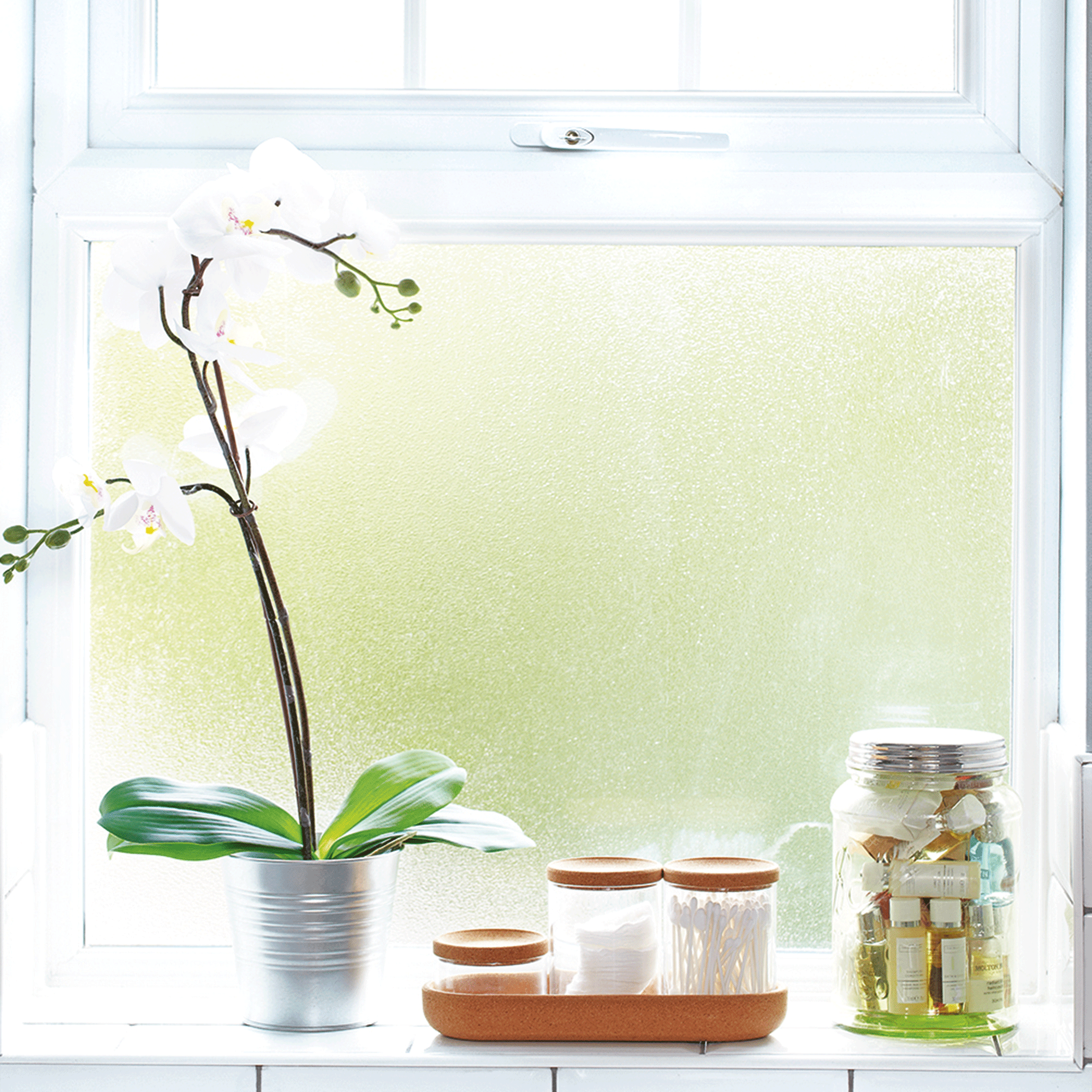 Frosted glass window with orchid