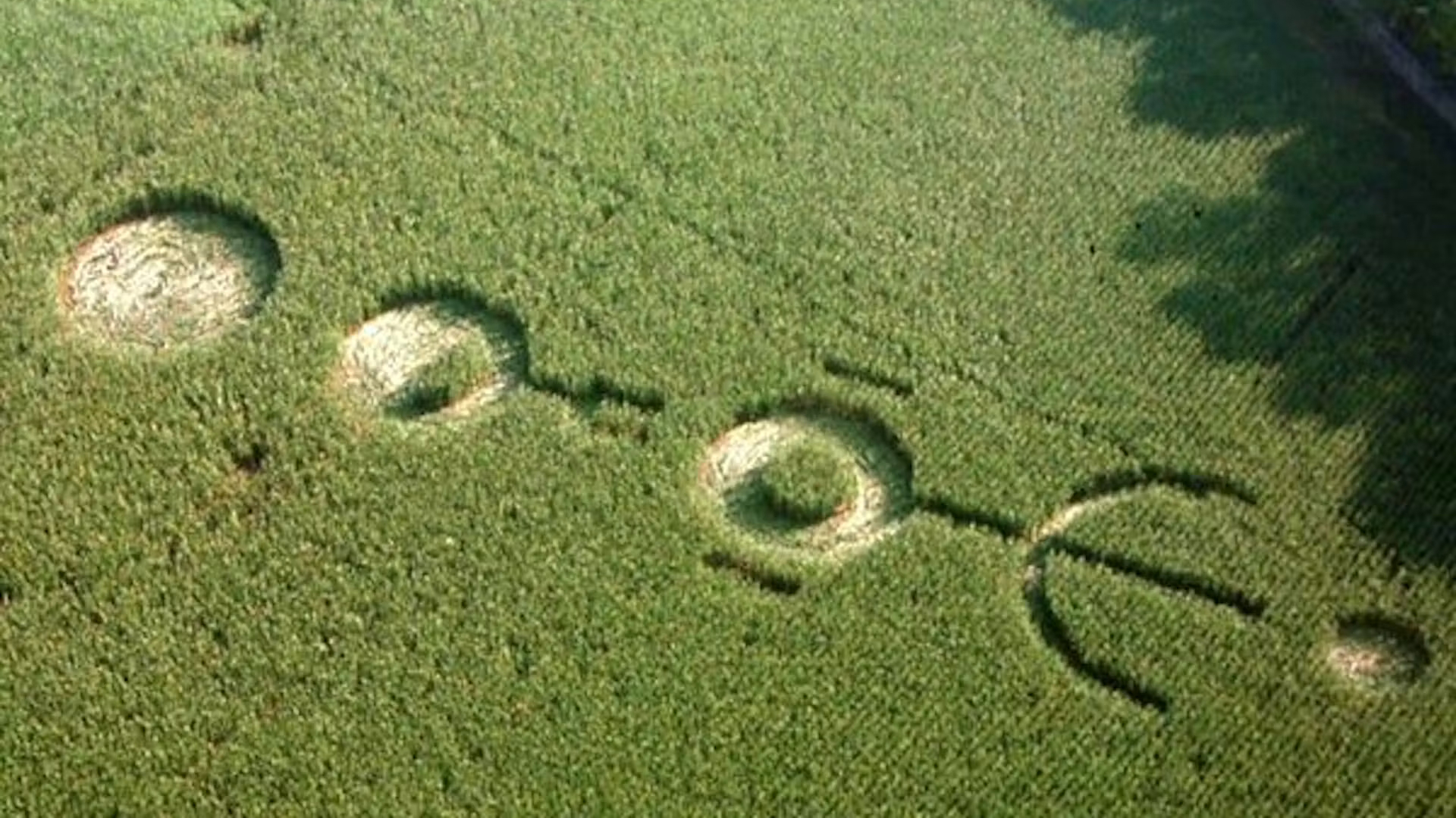 Círculos nas plantações do filme Signs (2002)