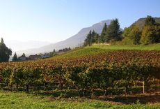 Savoie