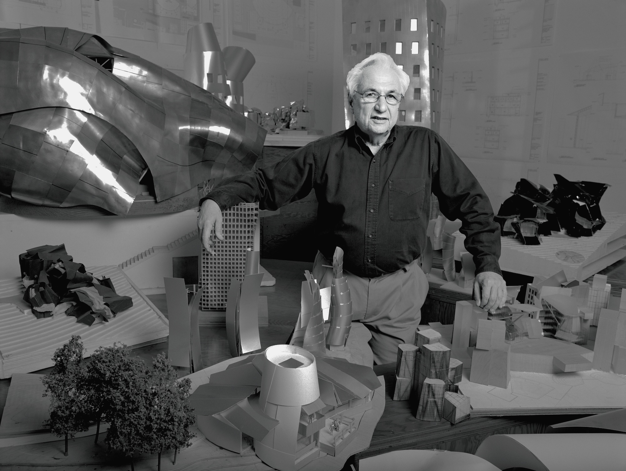 Frank Gehry 